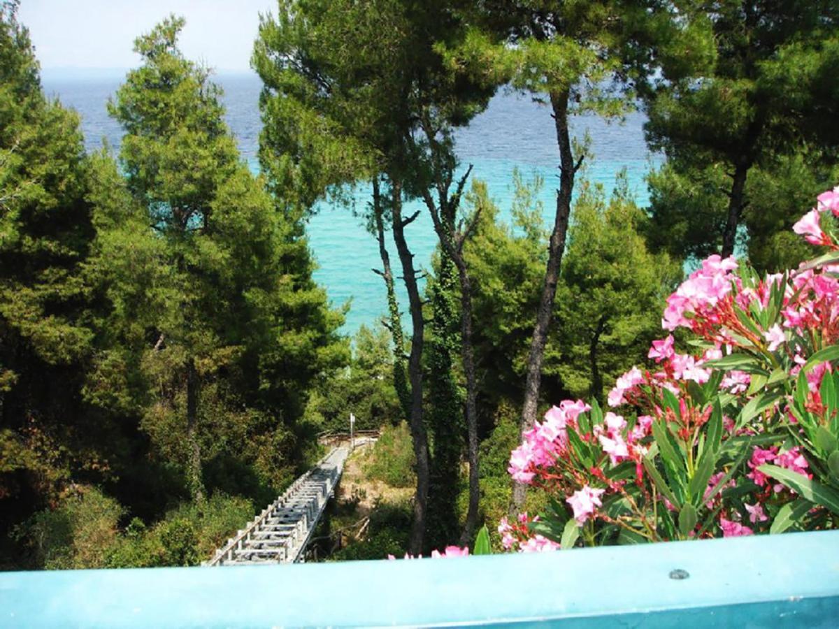 Porto Thea Alexandra Shared Pool Villa, Áfitosz Kültér fotó